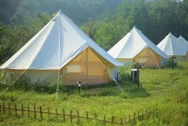 Camping Spot Recommendations in Yinchuan: Where to Pitch a Tent 