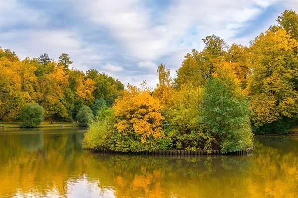 Free Area Strategy of Hangzhou West Lake Wetland Park