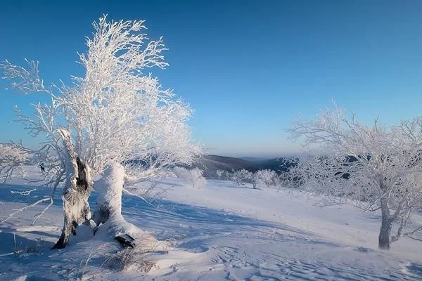 Best Places to See the Jilin Frost Flowers: From City to Countryside, You Have Options 