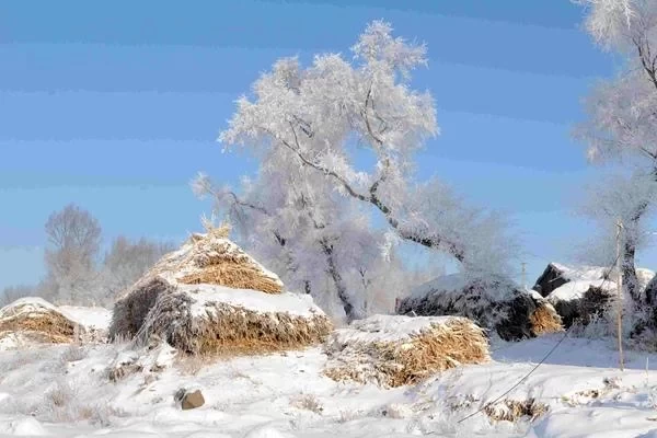 Best Places to See the Jilin Frost Flowers: From City to Countryside, You Have Options 