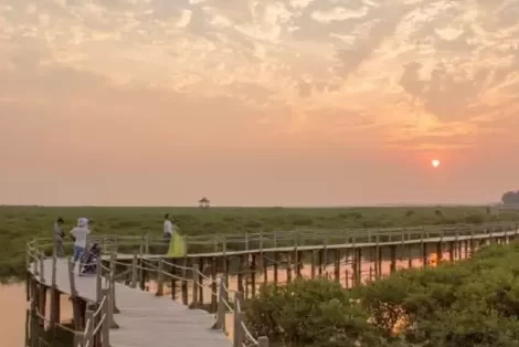 How much is the entrance fee to Jinhai Bay Mangrove Forest? Is Jinhai Bay Mangrove Forest fun? 