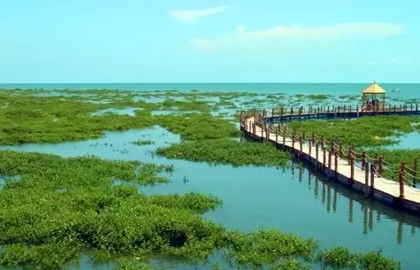 How much is the entrance fee to Jinhai Bay Mangrove Forest? Is Jinhai Bay Mangrove Forest fun? 