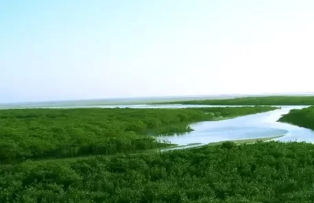 How much is the entrance fee to Jinhai Bay Mangrove Forest? Is Jinhai Bay Mangrove Forest fun? 