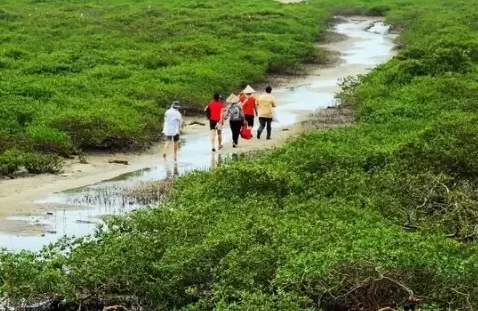 How much is the entrance fee to Jinhai Bay Mangrove Forest? Is Jinhai Bay Mangrove Forest fun? 