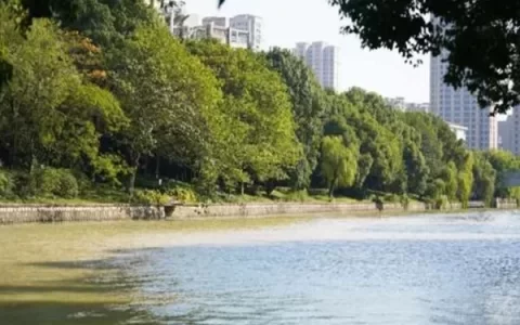 Where to Cycle in Hangzhou: Recommended High-Visual Cycling Routes