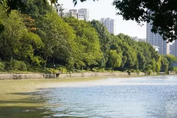 Where to Cycle in Hangzhou: Recommended High-Visual Cycling Routes