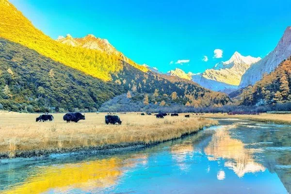 How Much Does It Cost to Travel to Daocheng Yading - Daocheng Yading Self-Driving Tour Guide 