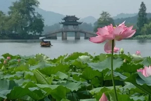 How to Explore West Lake Without Missing Anything: A West Lake One-Day Sightseeing Guide 