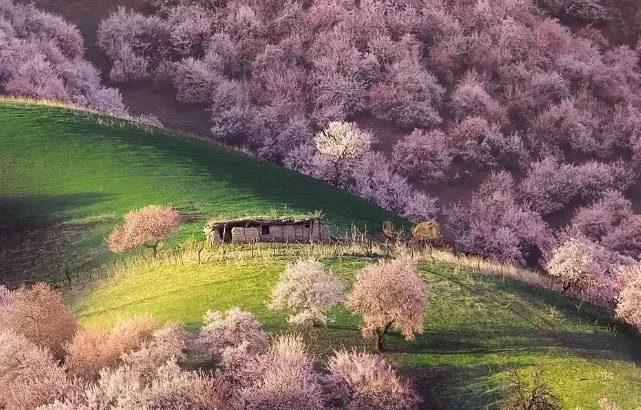 What are some grassland spots suitable for summer? 