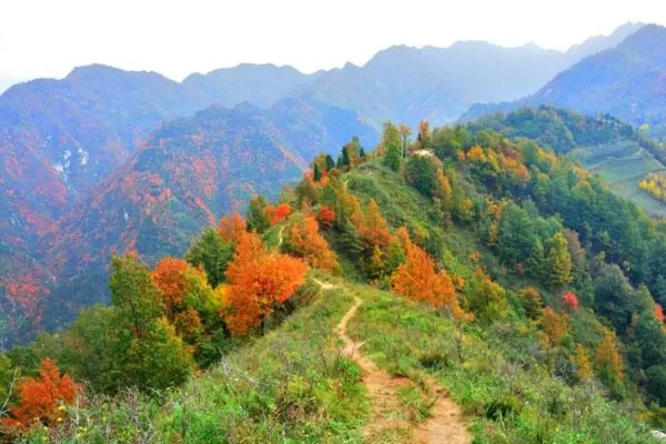 Top 10 Free Camping Spots in Xi'an 