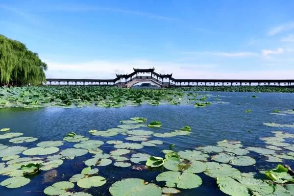 Recommended Scenic Spots for Self-Driving Trips Around Suzhou 