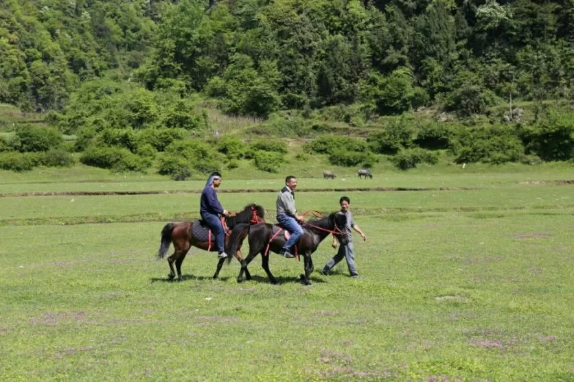 Huangjin Cave Shijiaba Xiangjia Village Grassland Self-driving Tour Strategy 