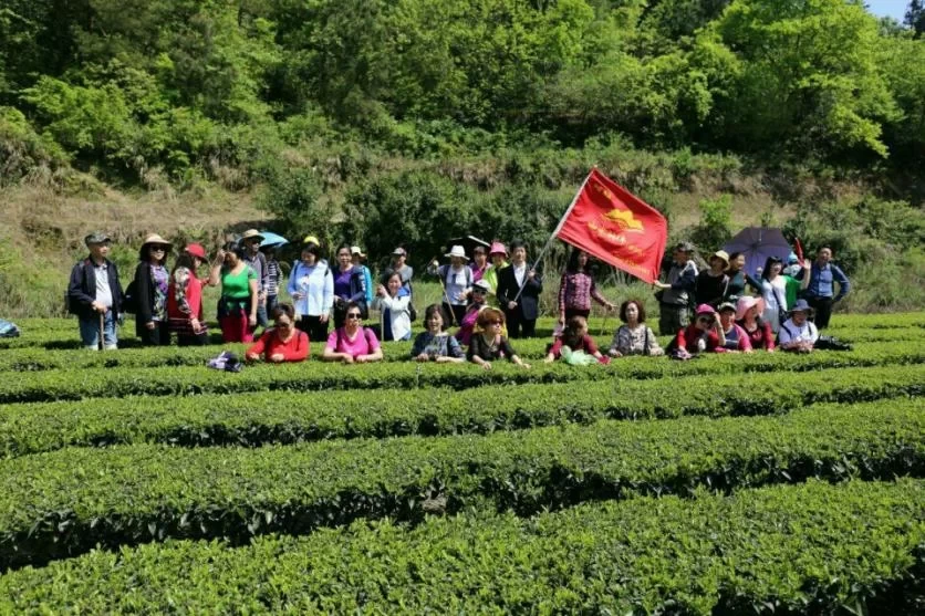 Huangjin Cave Shijiaba Xiangjia Village Grassland Self-driving Tour Strategy 