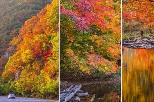 Recommended Most Beautiful Driving Routes in Liaoning in Autumn