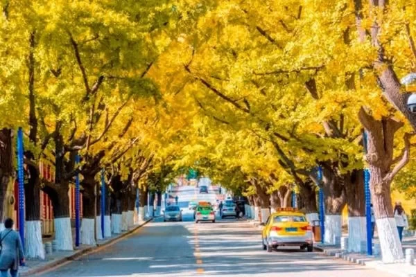 Recommended Most Beautiful Driving Routes in Liaoning in Autumn 