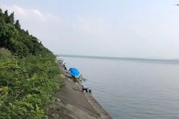 Suitable Camping Spots in Wuxi: Recommended Camping Locations