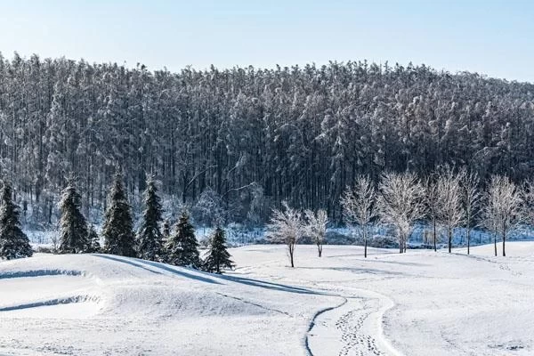 Which Ski Resort in Changchun is the Most Fun? Ranking of Ski Resorts in Changchun, Jilin 