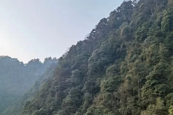 Chongqing Simian Mountain Self-driving Tour Strategy 