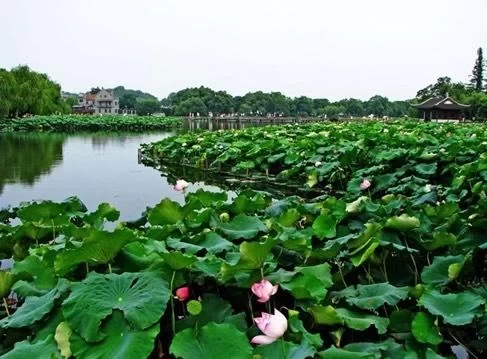 What are the Ten Scenery Spots of West Lake? 