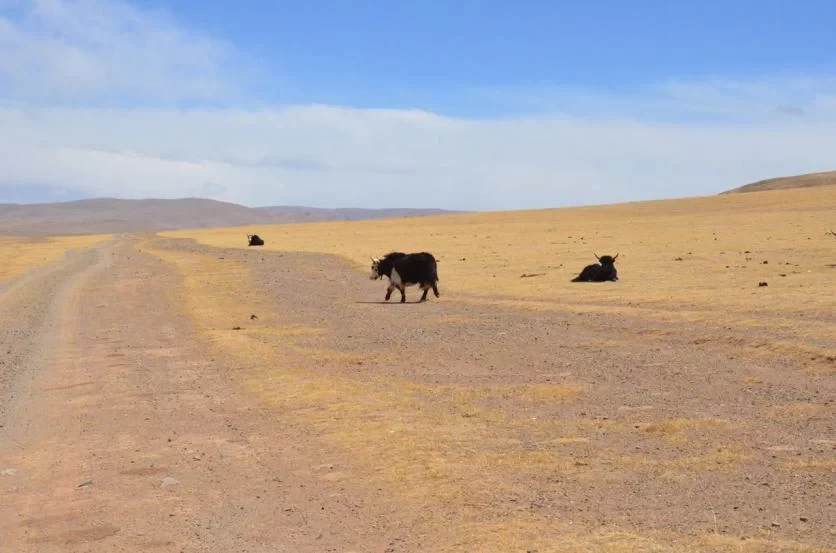 What to Pay Attention to When Self-Driving in Tibet Best Route Sharing 