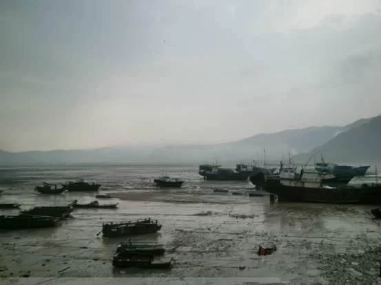 Xiapu Mudflats Self-driving Tour Guide: The Most Beautiful Mudflats in China