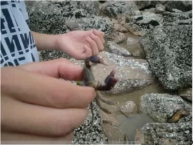 Xiapu Mudflats Self-driving Tour Guide: The Most Beautiful Mudflats in China 