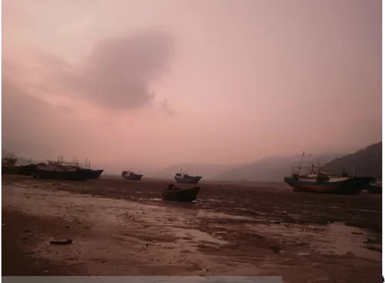 Xiapu Mudflats Self-driving Tour Guide: The Most Beautiful Mudflats in China 