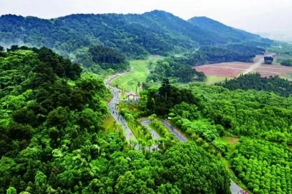 Best Hiking Spots in Wuhan for Weekend Getaways 