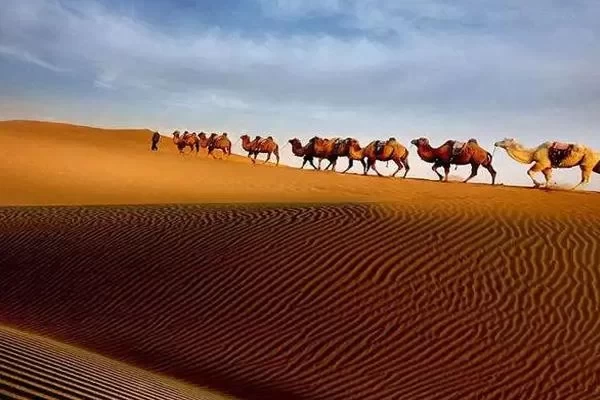 Tengger Desert Camping Guide: Best Time to Visit Tengger Desert 