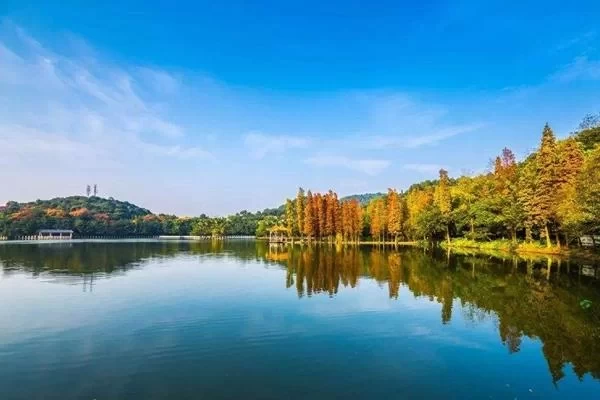 What to Visit on a One-Day Tour of Xiqiao Mountain: Xiqiao Mountain One-Day Tour Guide 