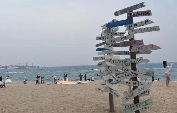 What beaches in Shenzhen are good for camping? 