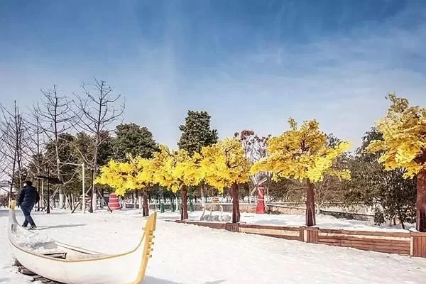 Recommended Tourist Routes for One-Day Trips Around Wuhan in Winter 