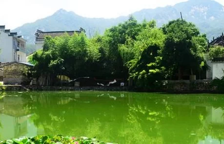 What are the best attractions in Jixi, where is Jixi 