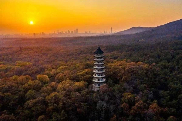 Best Hiking Routes on Zijin Mountain in Nanjing