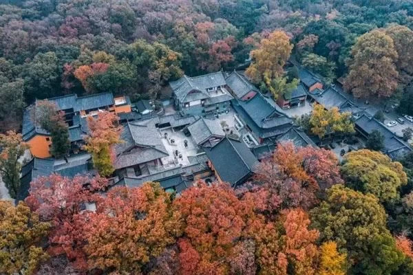 Best Hiking Routes on Zijin Mountain in Nanjing 