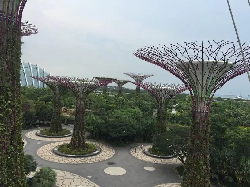 Singapore Self-Guided Tour Guide: Things to Note for a Singapore Self-Guided Tour 