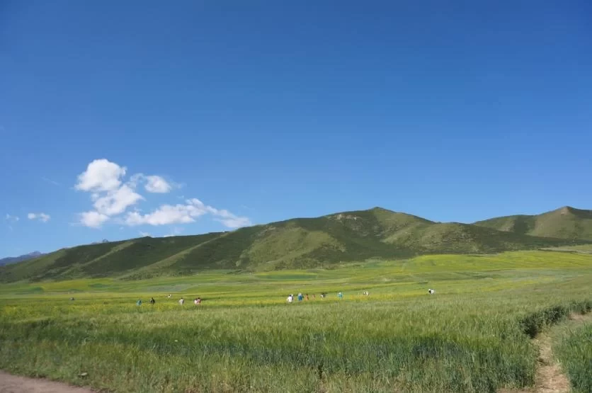 What is there to play in Qilian Mountain? What are the tourist attractions in Qilian Mountain? 