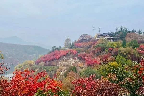 Where is Hongye Valley Located and Transportation Guide 