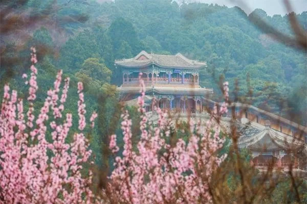 Xiangshan Park Tour Route Guide