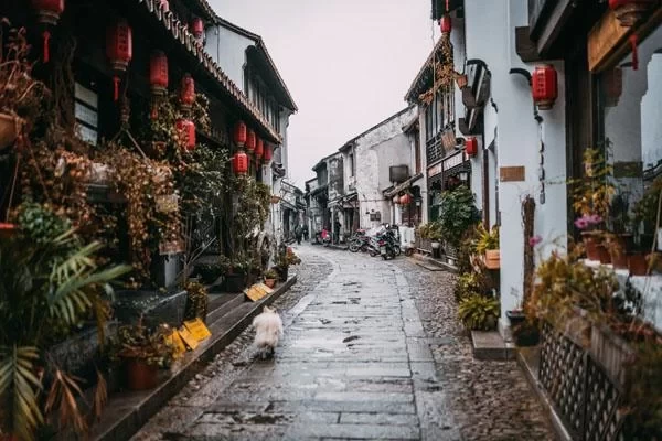 Is Suzhou Luzhi Ancient Town Worth Visiting? Is It Fun? 