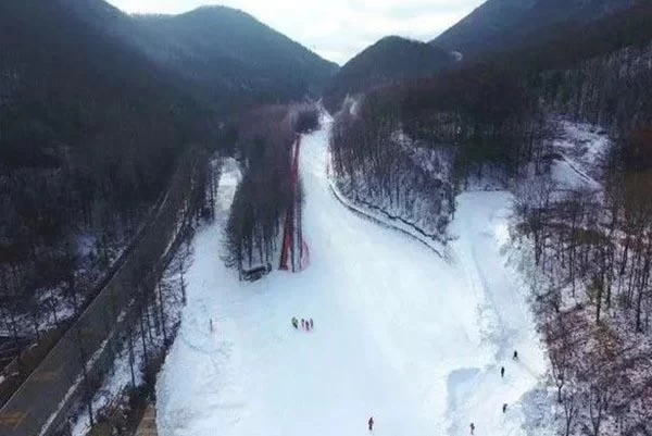 Which are the Four Major Ski Resorts in Shennongjia? Shennongjia Four Ski Resorts Strategy 