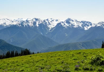 How is Seattle, USA? Is Olympic National Park fun? 