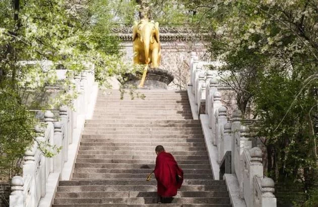 Tsinghai Kumbum Monastery Travel Guide 