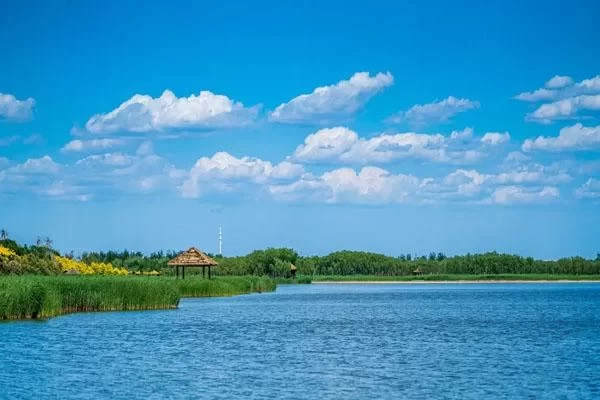 Camping and BBQ Spots in Tianjin