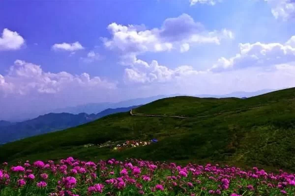 Guizhou Dajiucaiping Tourism Guide: Keep This Guide