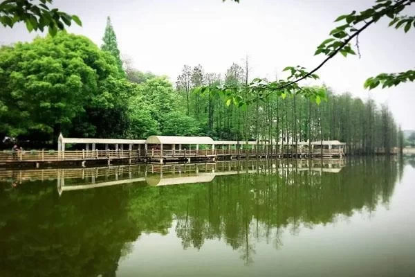 Where is Hunan Provincial Botanical Garden and How to Get There 