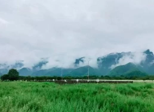 Shennongjia Self-driving Tour Travel Guide 