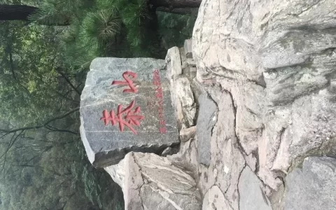 A Trip to Mount Tai