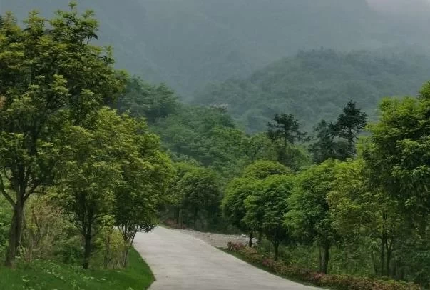 Where to Go Hiking in Dujiangyan 