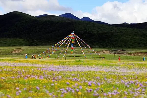 Best time to visit Ruoergai Flower Lake & Ticket Prices 